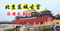 滋水白虎av中国北京-东城古宫旅游风景区